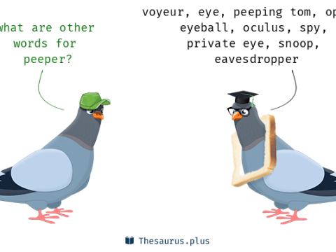 peeper