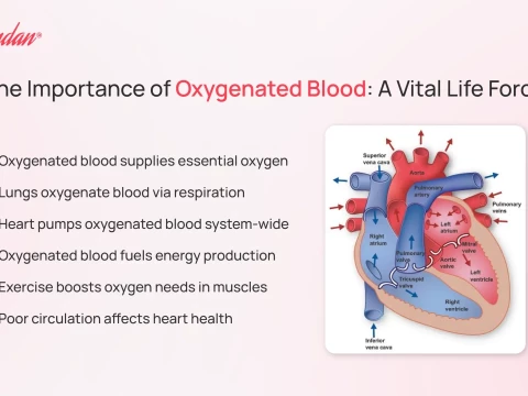 oxygenate