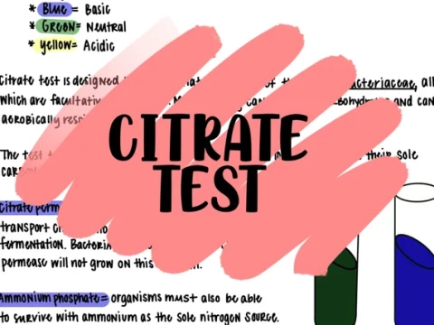 citrate