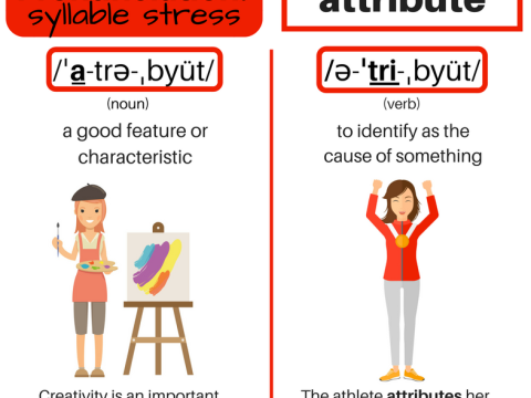 attribute