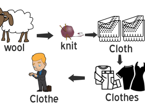 cloth
