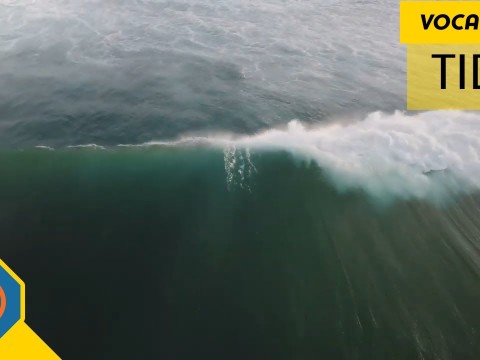 tide