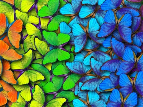 colorful