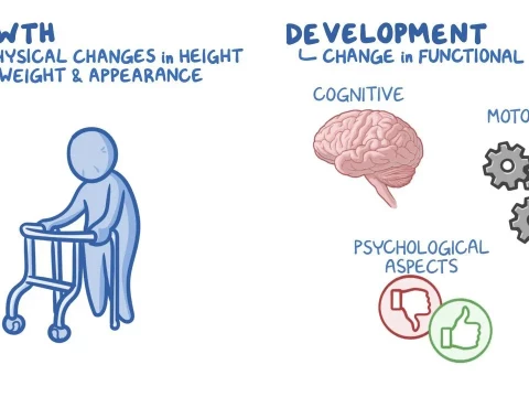 developmental