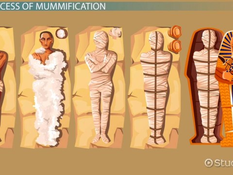 mummify