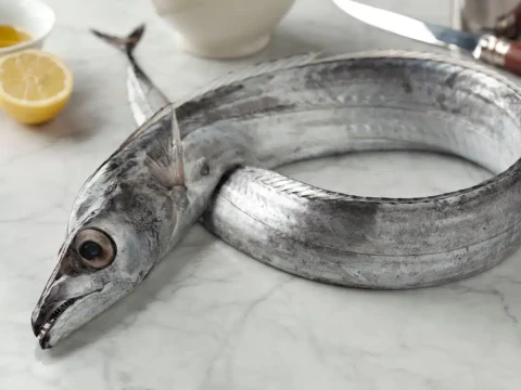 ribbonfish