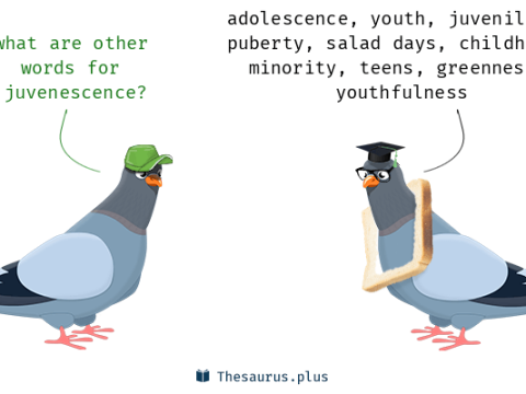 juvenescence