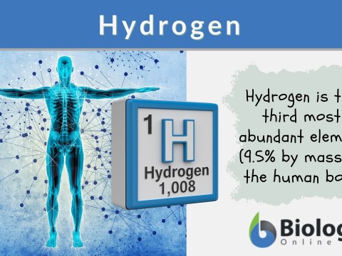 hydrogenate