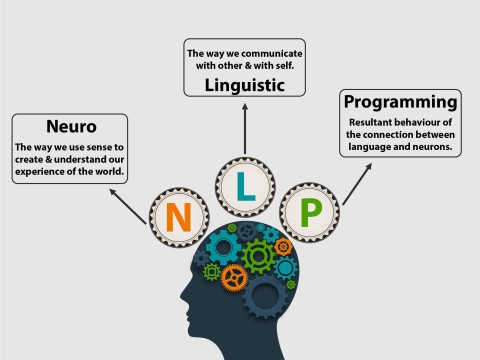 neurolinguistics