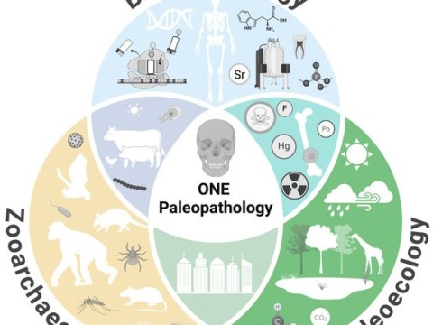 paleopathology