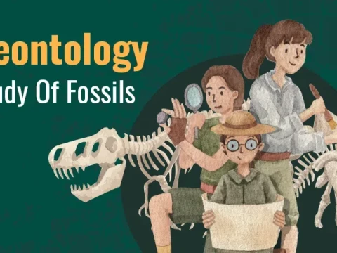 palaeontology