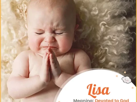 Lisa