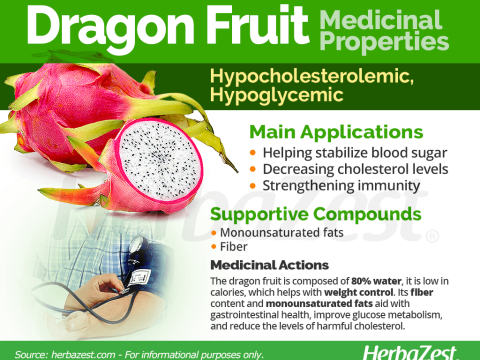 dragon fruit