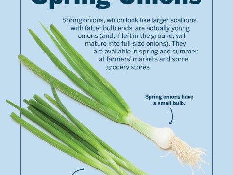 spring onion