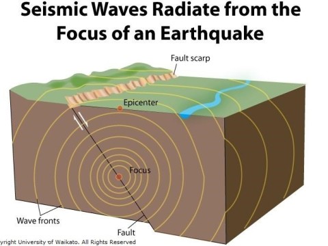 seismal