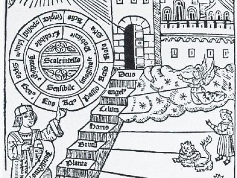 hierarchically