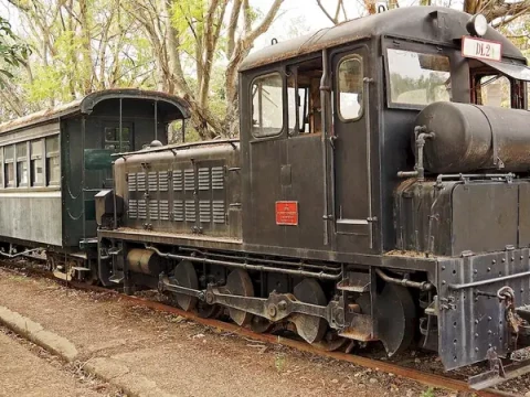 shunter