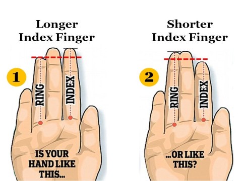index finger