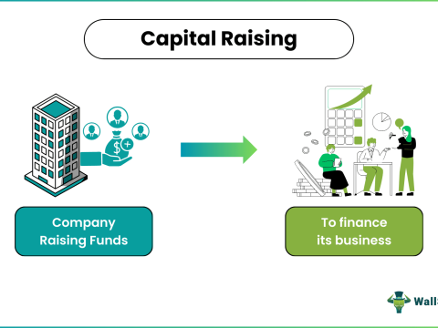 raise capital