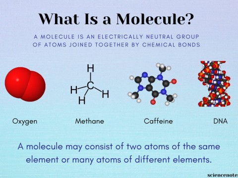 molecule