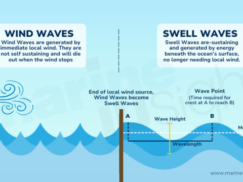swell