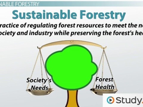 sustainable
