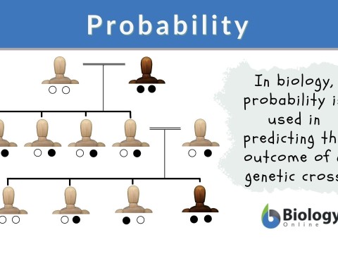 probability