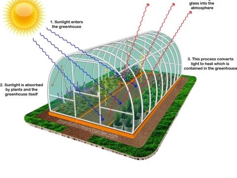 greenhouse