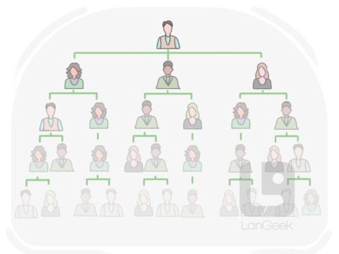 hierarchy