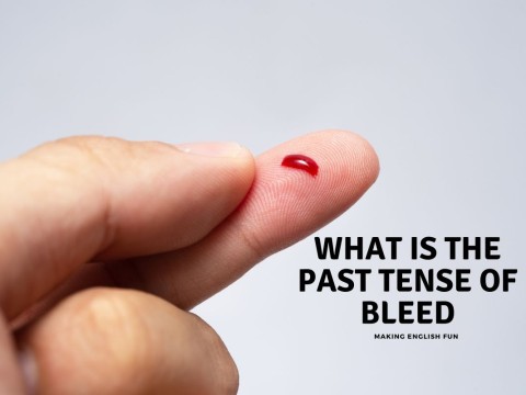 bleed
