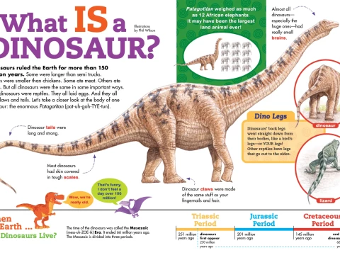 dinosaur
