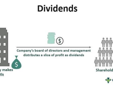 dividend