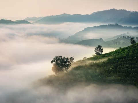 mist
