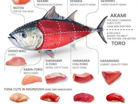tuna