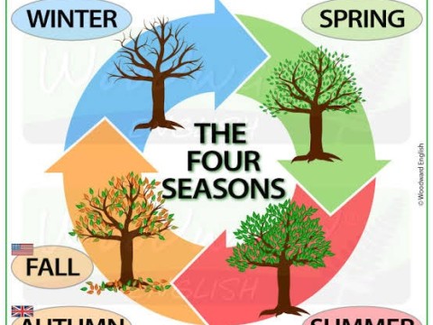 seasonal