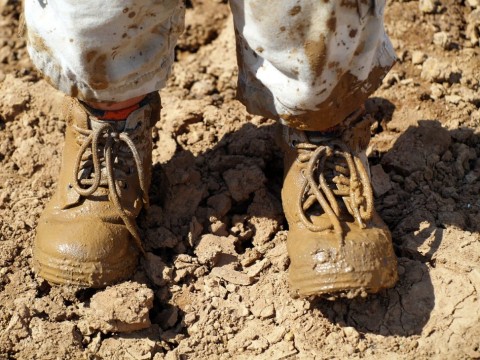 muddy