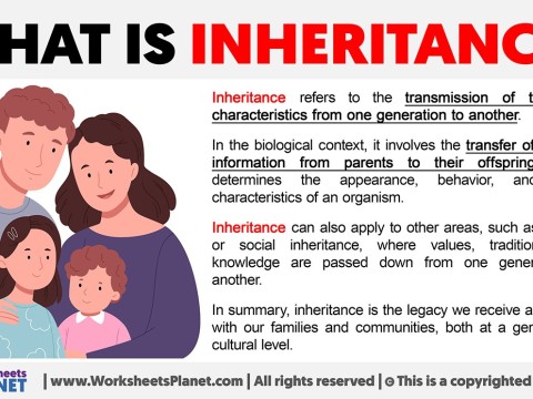inheritance