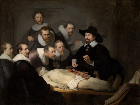 autopsy