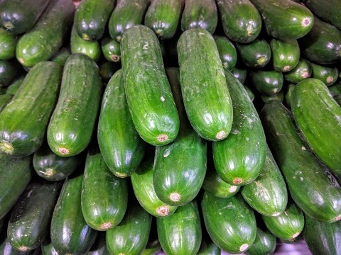 cucumber