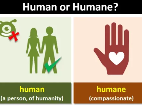 humane