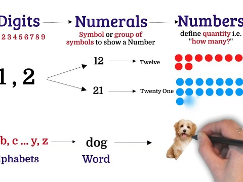 digit