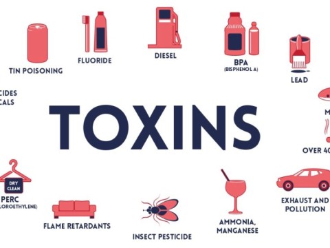 toxin