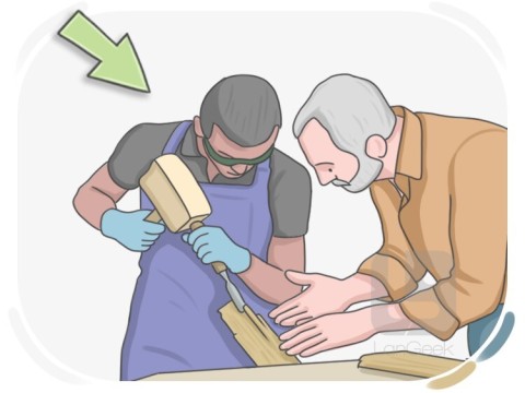 apprentice