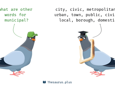 municipality