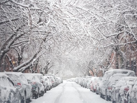 snowy