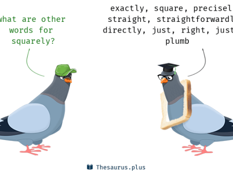 squarely