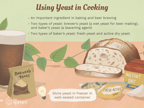 yeast