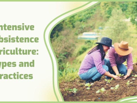 subsistence