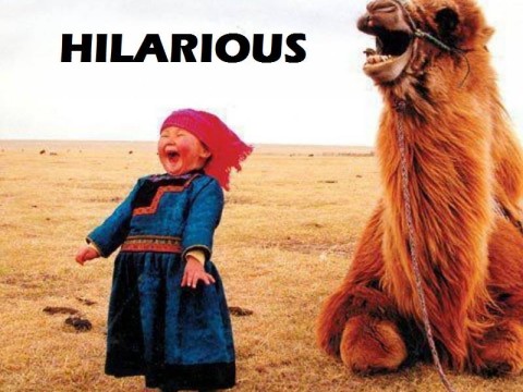 hilarious