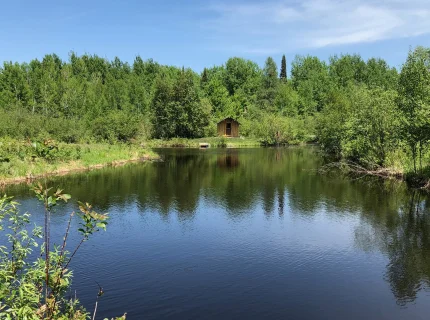 pond